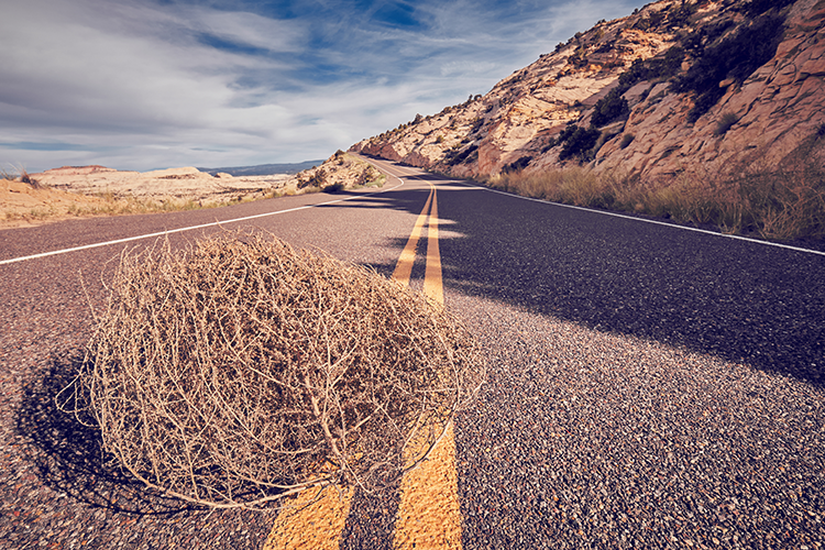 featured-Tim Toohey: Banking crisis far from over