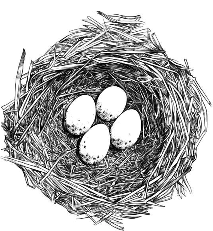featured-Tim Toohey: Jun 2025 Quarter Update