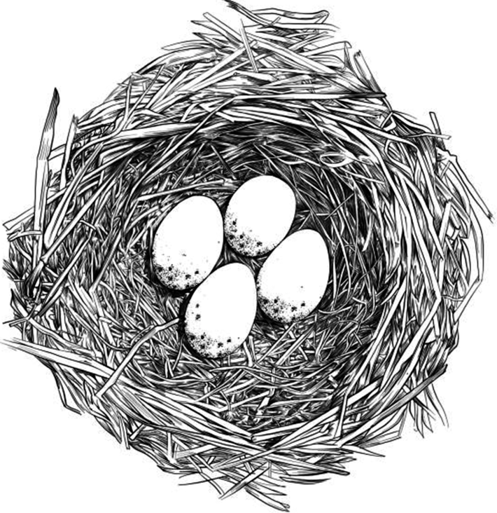 featured-Tim Toohey: Jun 2025 Quarter Update